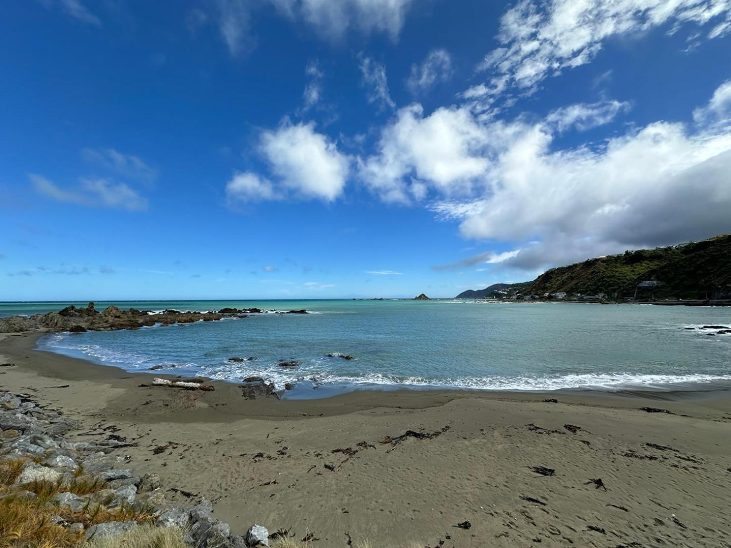 Stunning Views Ocean-Front Villa Wellington Dış mekan fotoğraf